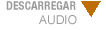 Descarregar Audio